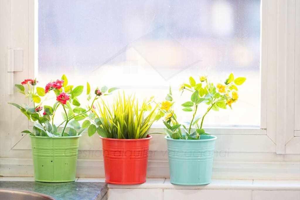 Colours Apartamento โอเบียโด ภายนอก รูปภาพ